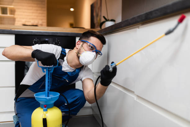 Best Affordable Pest Control Services  in Sherwood, AR