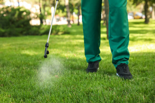 Reliable Sherwood, AR Pest Control Solutions