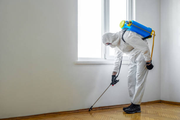 Best Cockroach Control Services  in Sherwood, AR