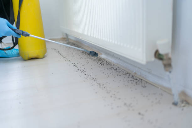 Best Emergency Pest Control  in Sherwood, AR