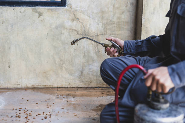 Best Exterminator Services  in Sherwood, AR